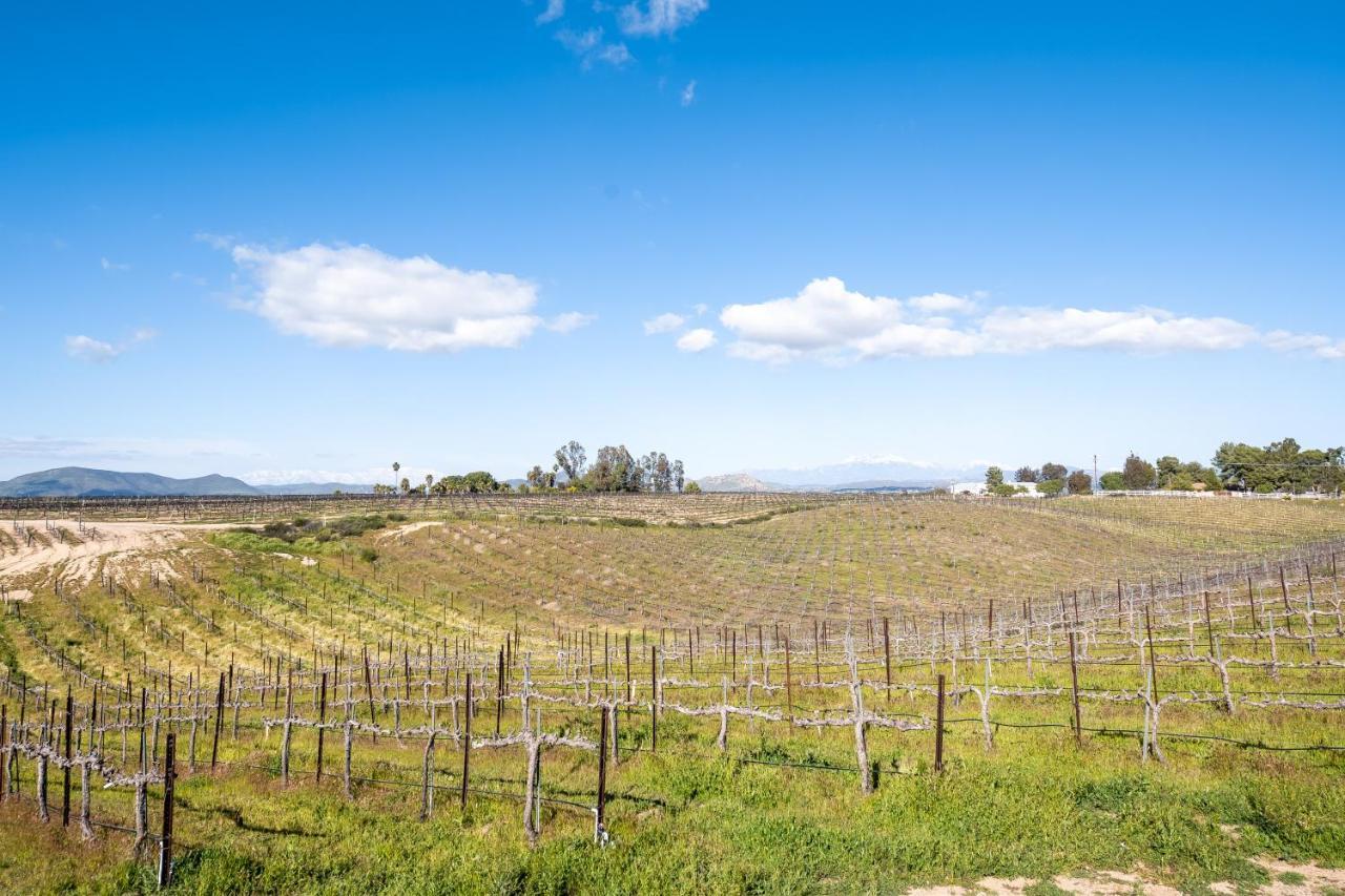 Domaine Chardonnay Bed and Breakfast Temecula Exteriör bild