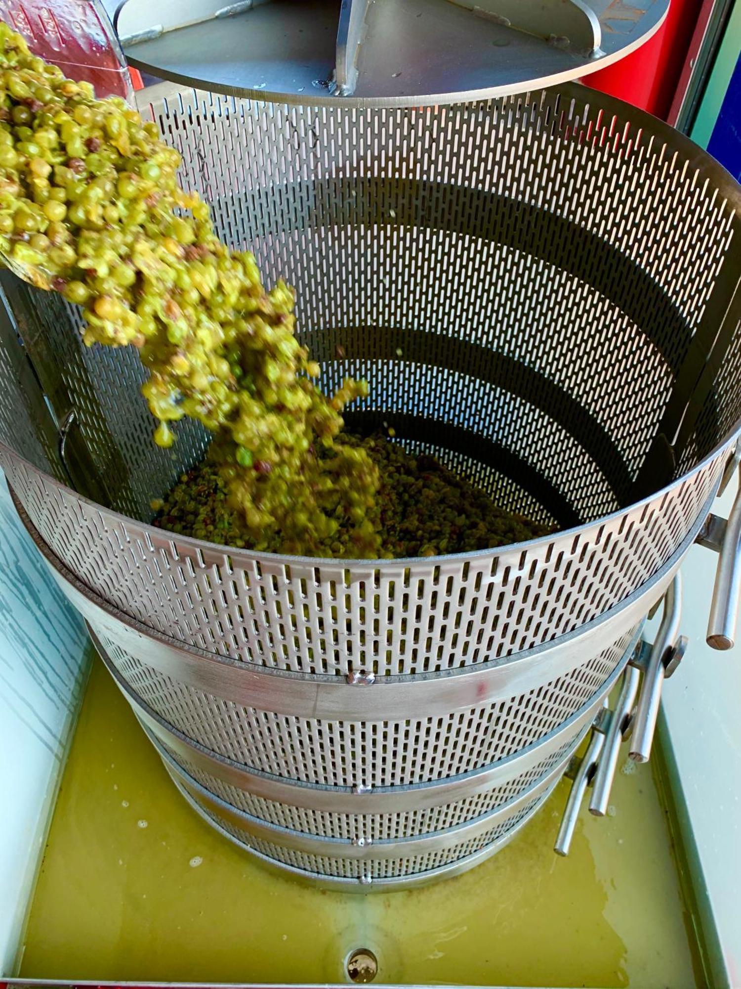 Domaine Chardonnay Bed and Breakfast Temecula Exteriör bild