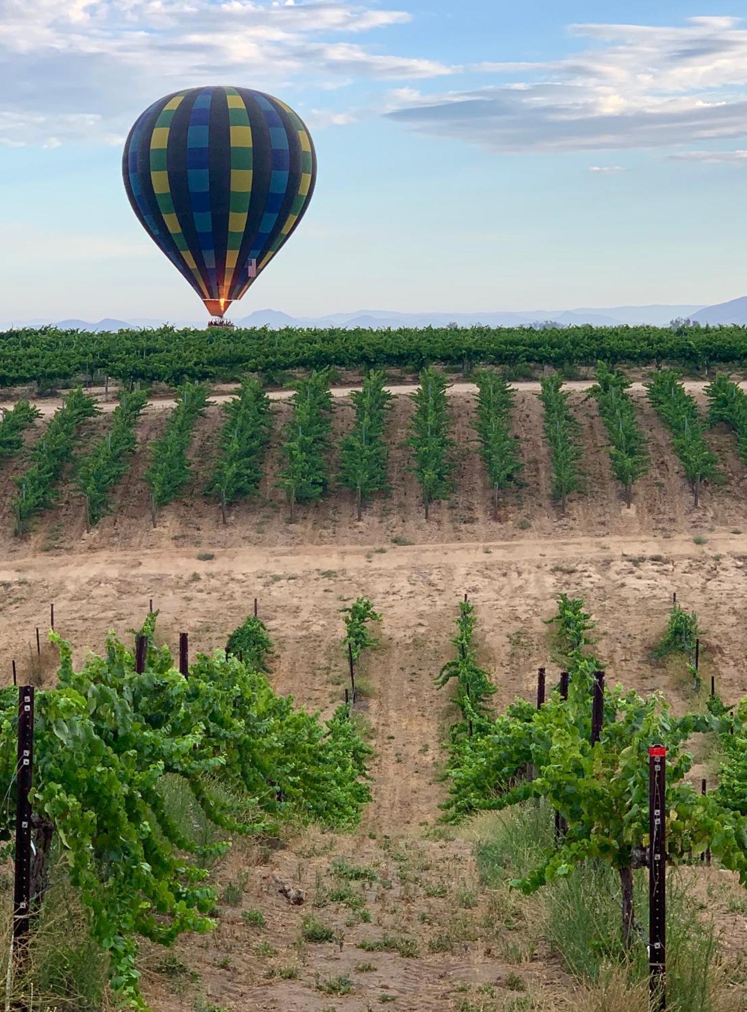 Domaine Chardonnay Bed and Breakfast Temecula Exteriör bild