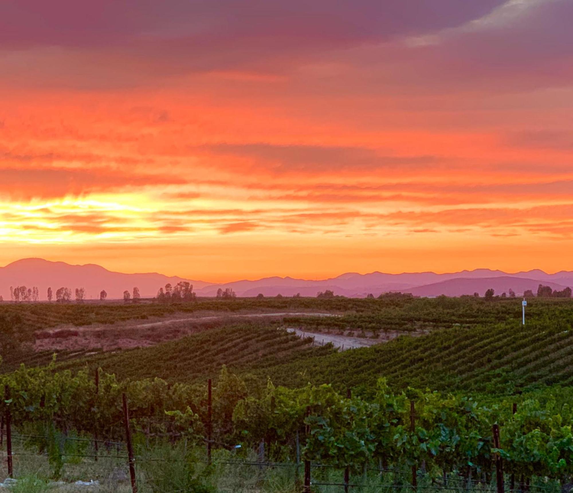 Domaine Chardonnay Bed and Breakfast Temecula Exteriör bild