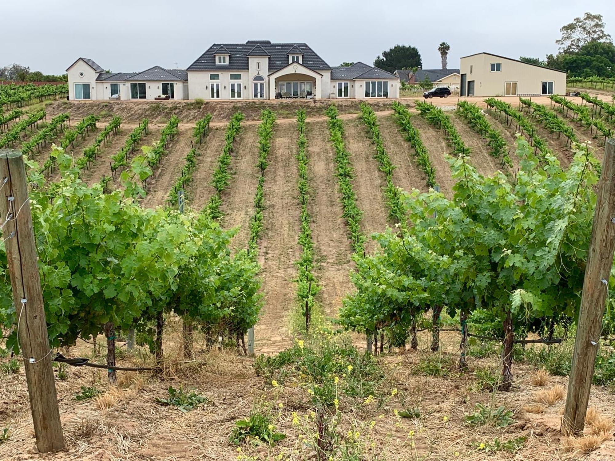 Domaine Chardonnay Bed and Breakfast Temecula Exteriör bild